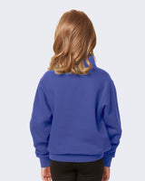 Pretreated Enza 31679 Youth Quarter Zip - Future Dusk - Back