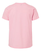Pretreated Next Level 3312 Youth CVC Tee - Heather Light Pink - Back
