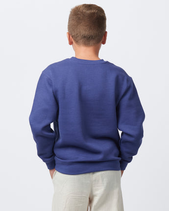Pretreated Enza 96279 Youth Fleece Crew - Future Dusk - Back