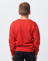 Pretreated Enza 96279 Youth Fleece Crew - Red - Back